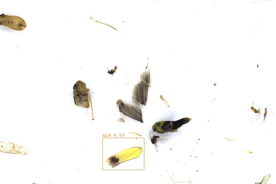 Image 22